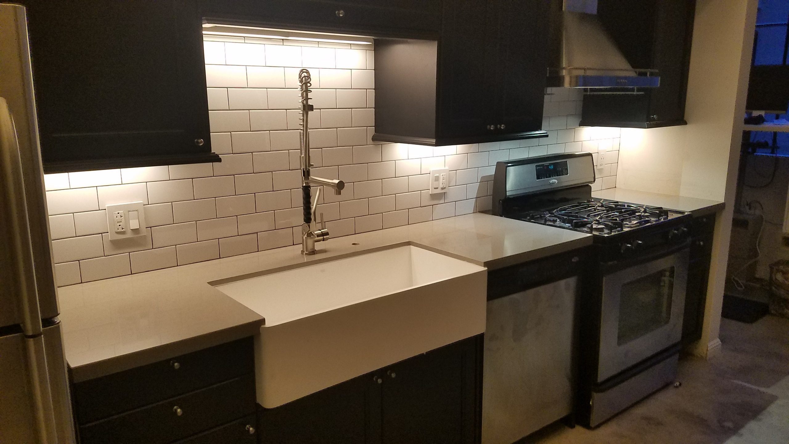 Condo Kitchen Remodel Construction – Little Tokyo
